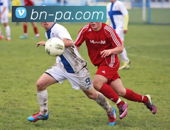 PA真人官网平台生态图